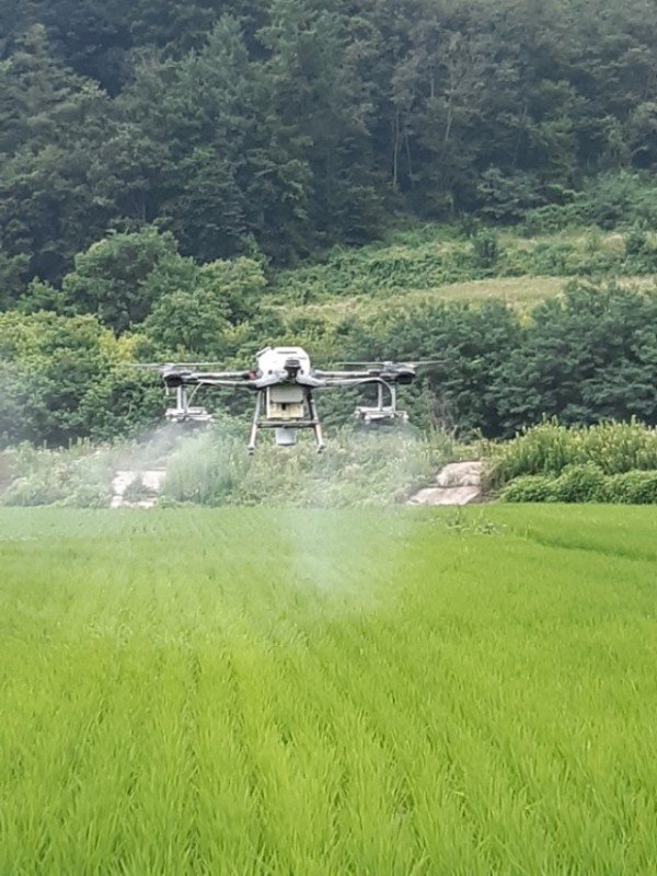 220726_수도작 드론항공방제로 병해충 방지_농업기술센터 (1).jpeg