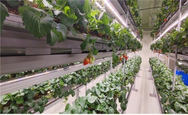 20210817083124_qfnbowxg (1).jpg