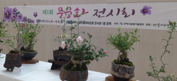 (6-3)무궁화전시회3.jpeg