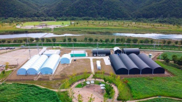 0809 경북 산업용 헴프 규제자유특구 우수특구 선정 (2)-헴프 특구.jpg