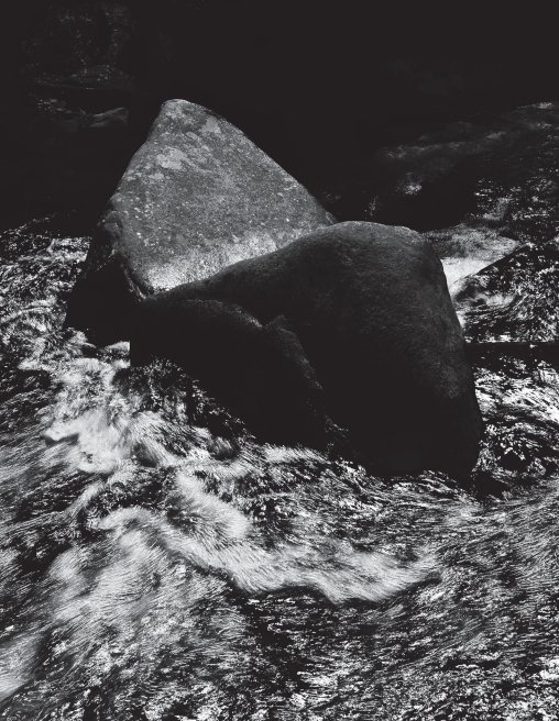 [문화예술과] 작가의 작품_실재 01.jpg