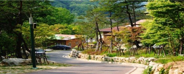 옥성자연휴양림-숲속의 집.jpg