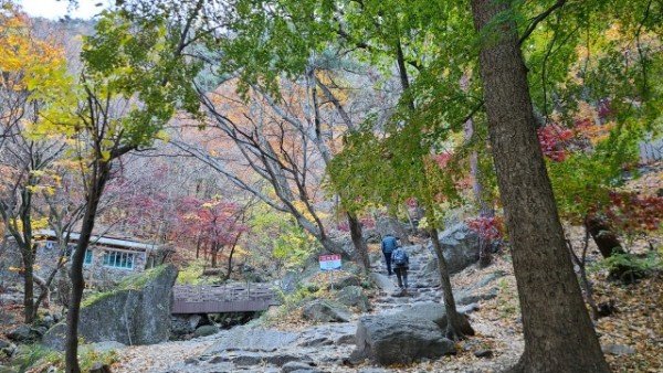 b_88fUd018svcc7u3g5ebidvt_tg3zvl (1).jpg