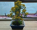 7_46bUd018svc1f4iwgs9m8c3n_tg3zvl.jpg