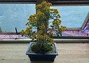 7_46bUd018svc1f4iwgs9m8c3n_tg3zvl.jpg