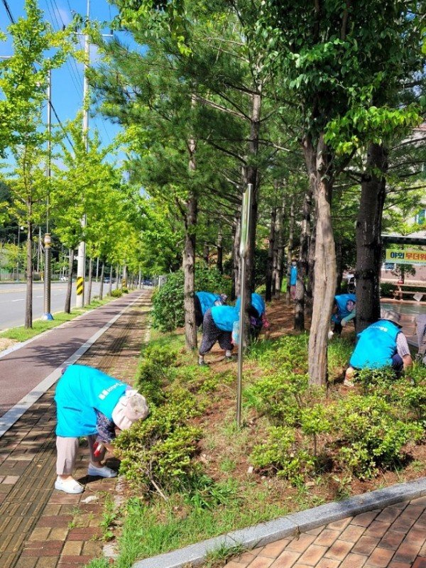 1212-4 안동시  2023년 노인일자리사업 참여자 모집.jpg
