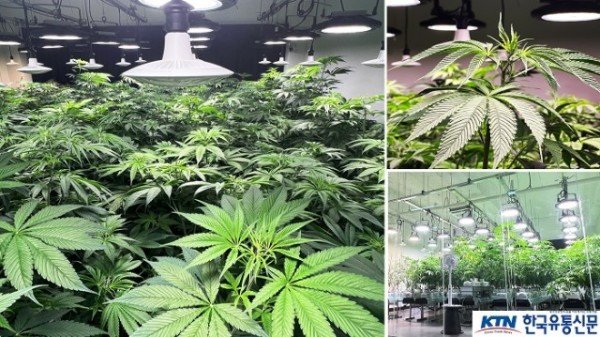 사진2. 파미노젠-Indoor-ICT-Smartfarm.jpg