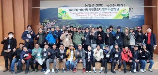 영주-4-영주시는 23일 지난 10월 입국한 37명의 필리핀 외국인 계절근로자들이 영농 지원을 성공적으로 마무리하고 고국으로 돌아갔다.jpg