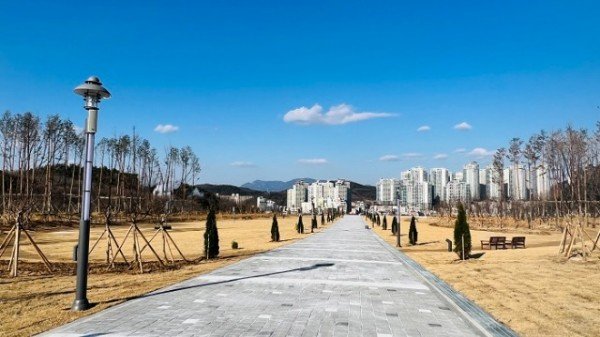 다온숲 조성후.jpg