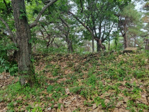 01-4의성군제공 봉수유적_근경.jpg