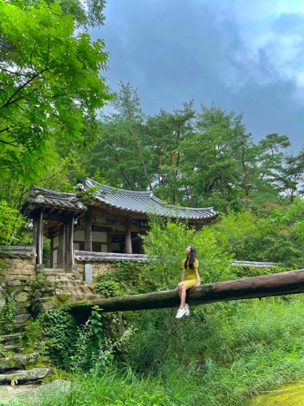 0221-3 안동시  단체 관광객 유치 여행사 인센티브 지원-만휴정.jpg