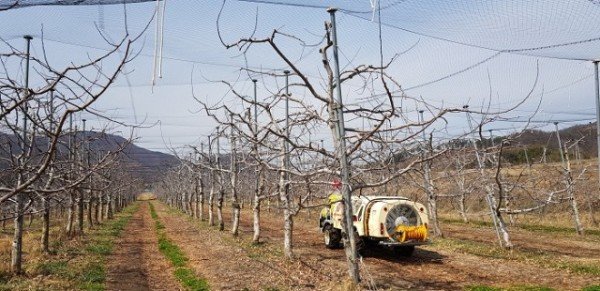 [농업기술센터] 과수화상병 약제공급 사진(1).jpg