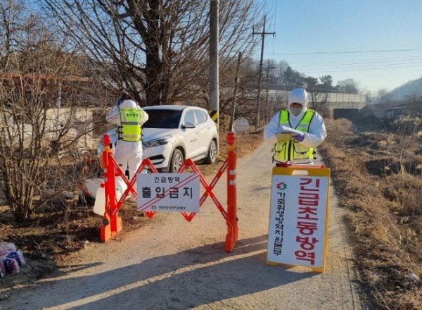 상주조류인플루엔자발생.jpg