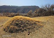 j_d7aUd018svcweot75rc6qsq_tg3zvl.jpg
