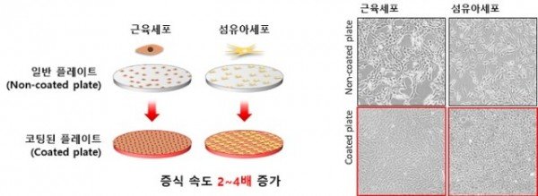 01의성군제공 고속 배양 기술.jpg