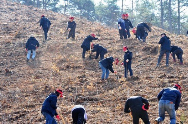 230331_군위군, 2023년 나무심기 행사 실시_산림새마을과 (4).jpg