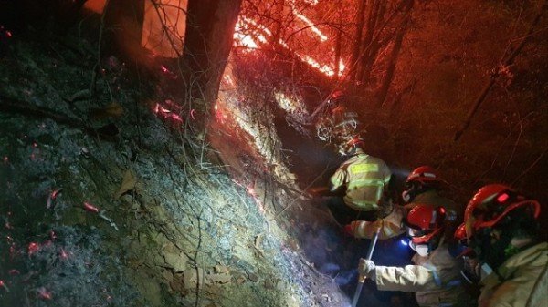 1.119산불특수대응단.jpg