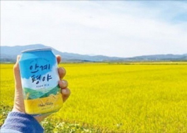 3.호피_홀리데이1.jpg