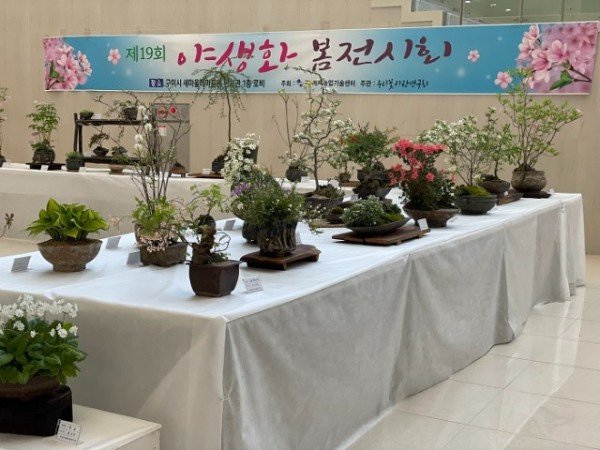 [기술개발과] 2022년 야생화 전시 사진 1.JPG