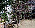 9_098Ud018svc5y73blo7ybd5_tg3zvl.jpg