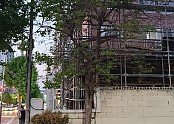 9_098Ud018svc5y73blo7ybd5_tg3zvl.jpg