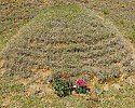 6_30cUd018svc1zyc3ncngsaw_tg3zvl.jpg