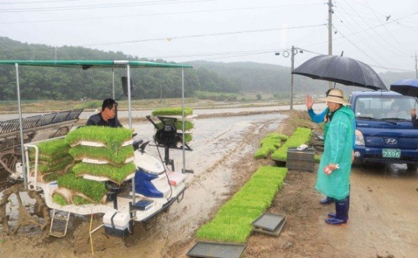 [농업정책과] 모내기작업 격려 2.jpg