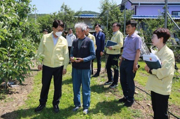 10일 제공 1-3 박남서 영주시장이 지난 9일 오후 봉현면 피해농가를 방문해 피해상황을 점검하고 있다.jpg