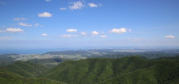 4.경북수목원 전망대.jpg