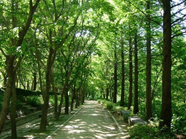 4.경북수목원.JPG