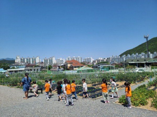 [농촌지원과] 도심속 텃밭 3 (1).jpg