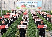 01의성군제공 스마트팜 딸기 교육생 모집.jpg