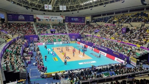 [체육진흥과] 배구대회 경기 전경.jpg