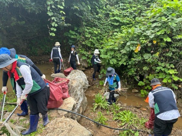 [행정지원과] 수해복구 작업 봉사활동 실시 사진2.jpg