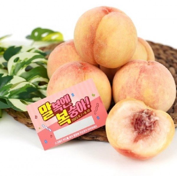 01의성군제공 SSG 의성진 복숭아 말복 이벤트(1).jpg