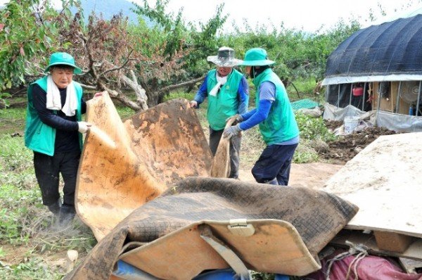 군위군새마을회 태풍피해복구현장 (5).jpg