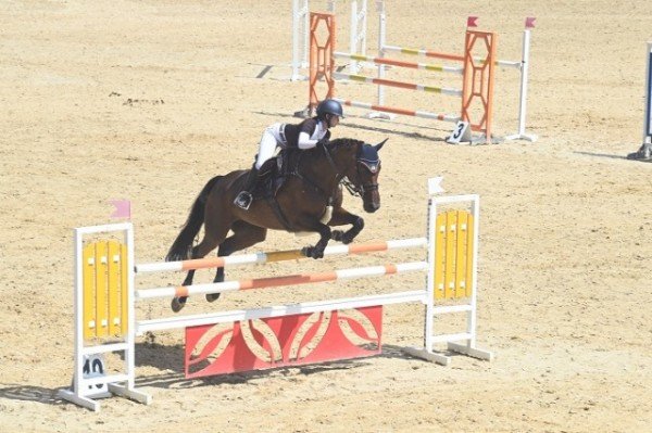 [축산과] 학생승마선수권대회 및 유소년전국승마대회 3.JPG