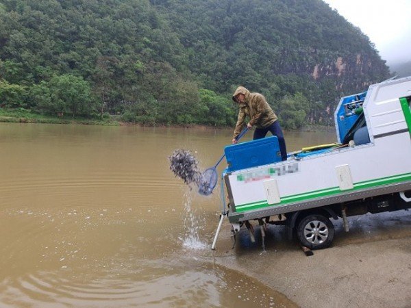 0930-4 안동시“관내 하천에 어린물고기 200만미 방류” (2).jpg