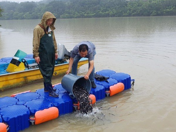 0930-4 안동시“관내 하천에 어린물고기 200만미 방류” (3).jpg