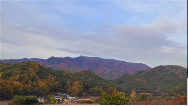 일월산 도곡리 가을 풍경.jpg
