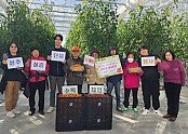 (스마트농업과)스마트팜 혁신밸리 실증단지, 농산물 수확 체험 및 견학.jpg