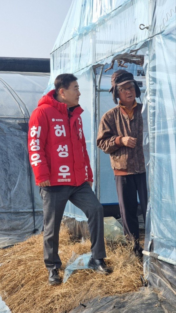 고아포도2.jpg