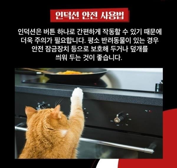 인덕션2.jpg