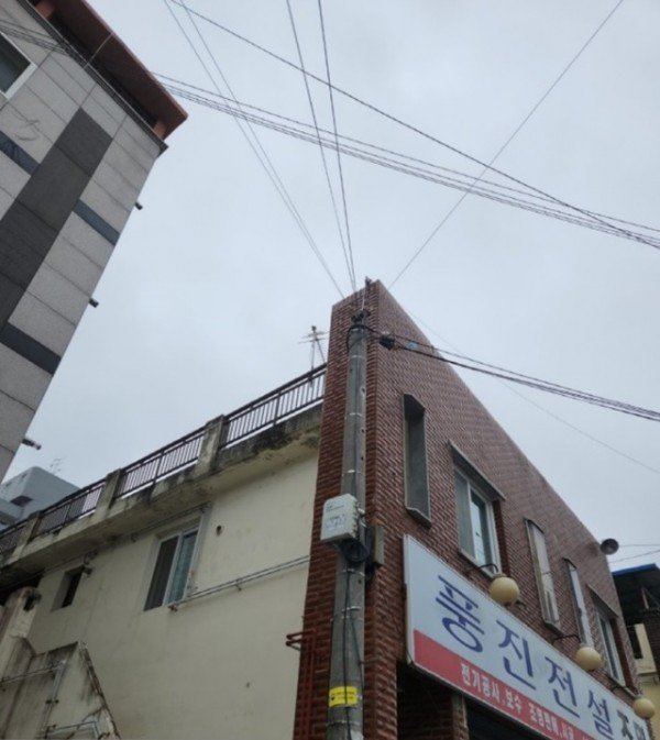 [정보통신과] 공중케이블 정비 2.jpg
