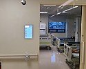1_67dUd018svc1vrc22mxxn6rp_tg3zvl.jpg