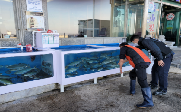 스크린샷 2024-01-23 100545.png