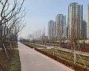 사진1. 서울 마포구에 조성된 도시숲1.jpg