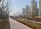 사진1. 서울 마포구에 조성된 도시숲1.jpg