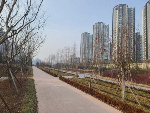 사진1. 서울 마포구에 조성된 도시숲1.jpg