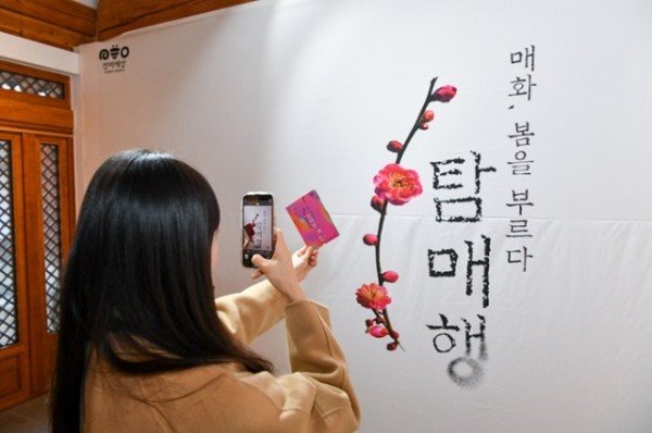 영주-3-4 매화엽서를 들고 포토존에서 사진을 찍고 있다.jpg